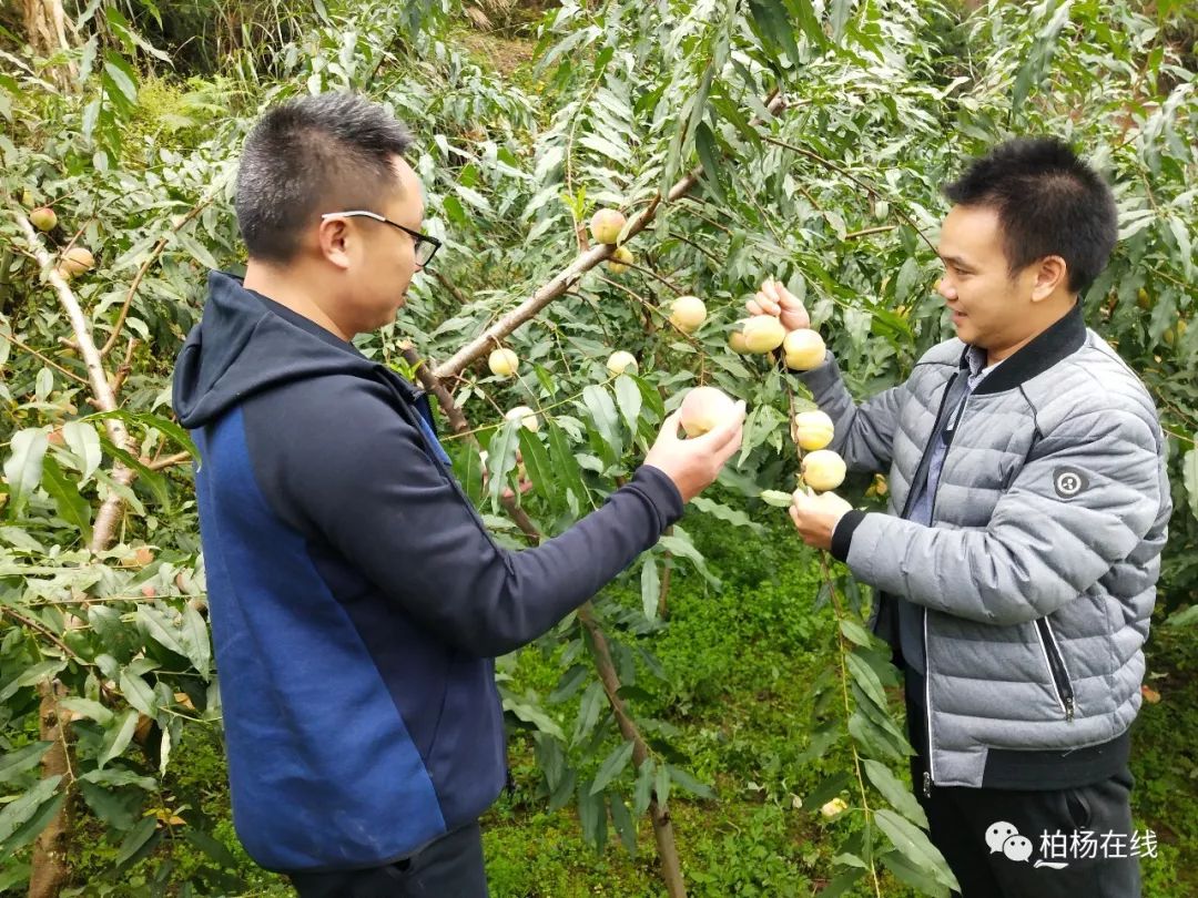 特色青训“绿色+智能+专业”行业生态逐步成型，行业竞争力不断增强的简单介绍