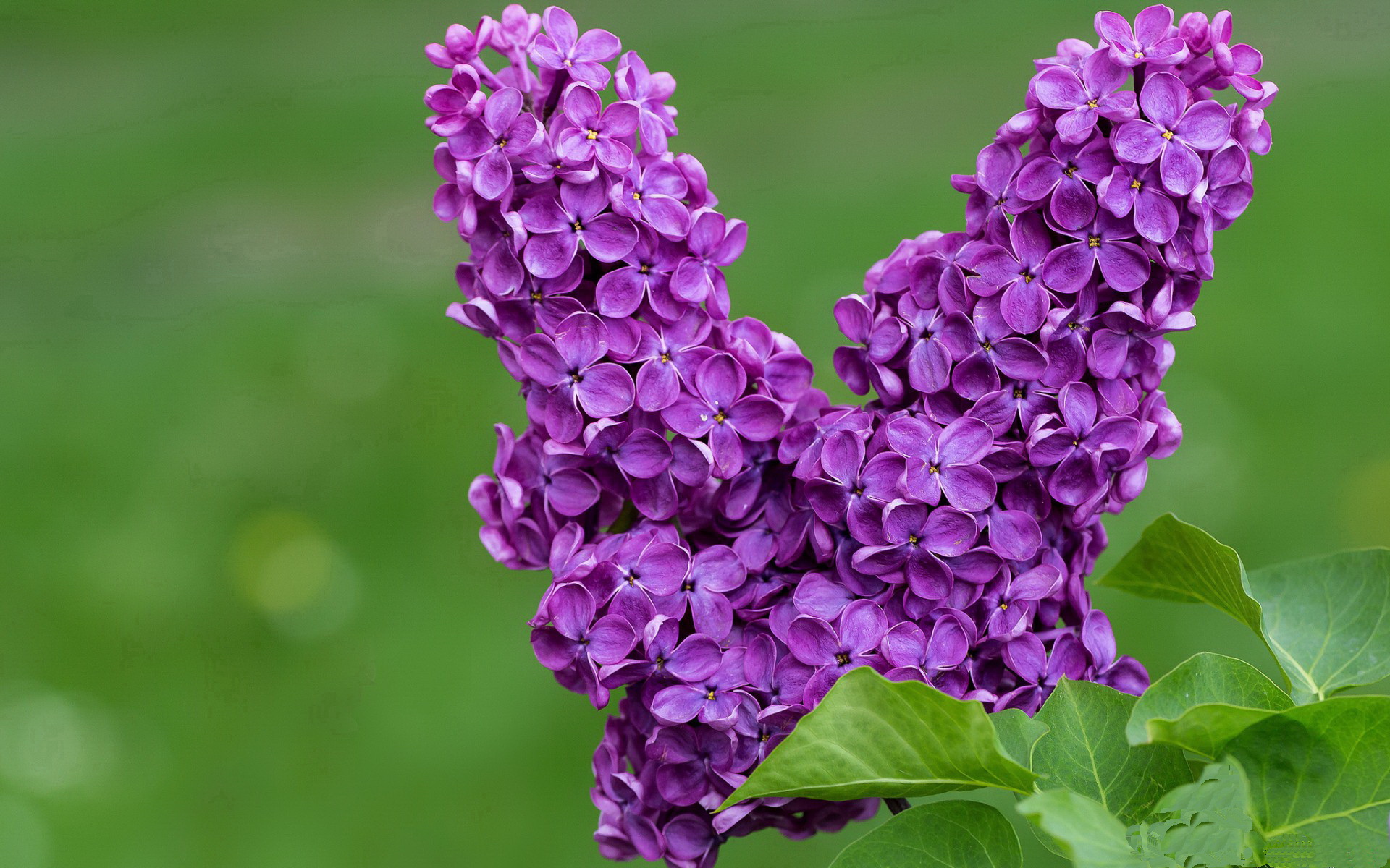 重庆斯威在主场击败大连一方,全取三分,重庆斯威主场位置