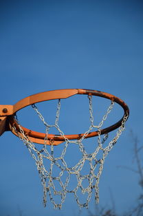 开云APP-NBA球队球员培养规划设计，nba对球员的要求是什么