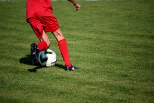 开云APP下载-体育新闻中心发布体育短视频内容运营新策略，体育短视频存在的问题