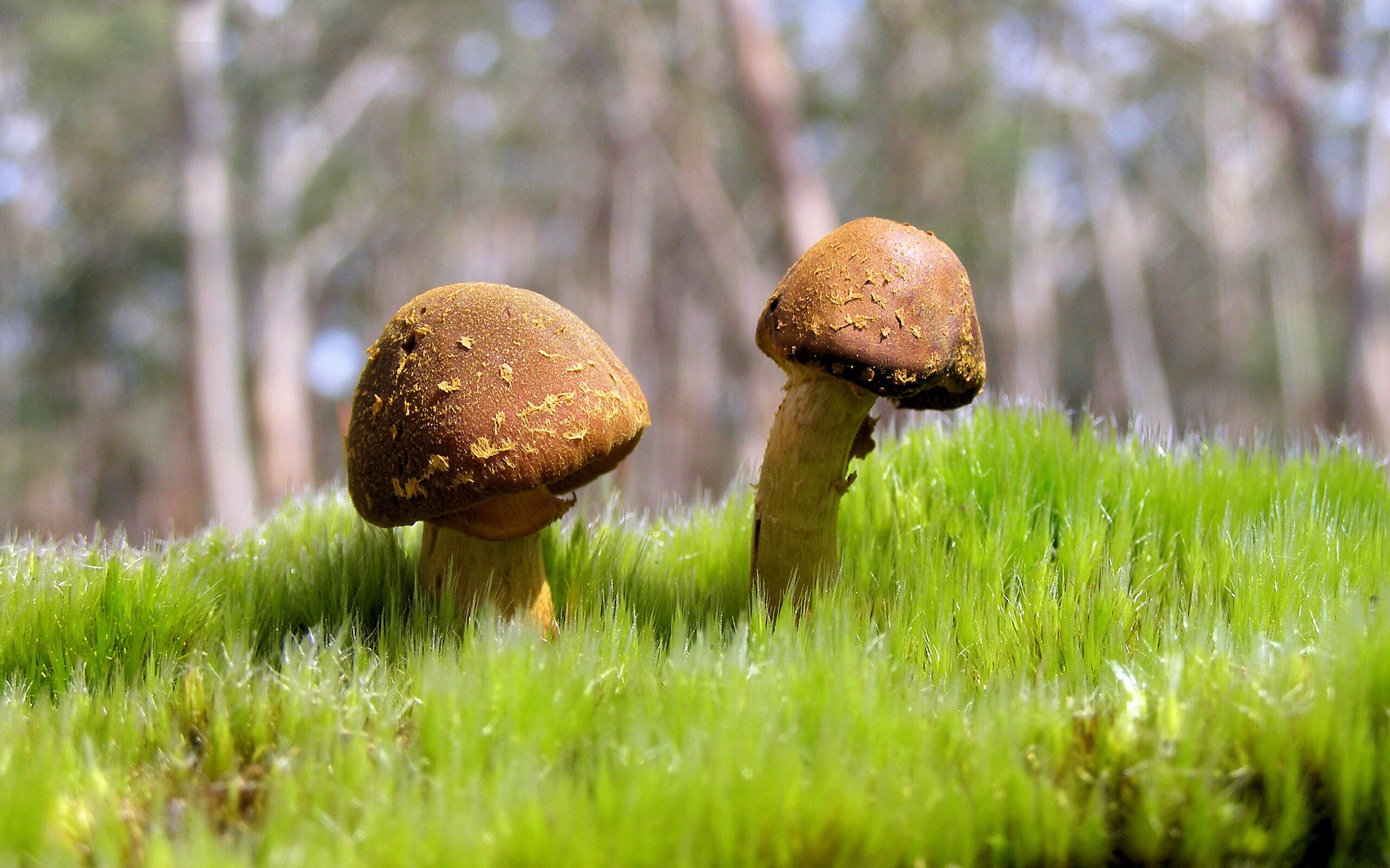 国足惜败出局亚洲杯,国足惜败出局亚洲杯了吗