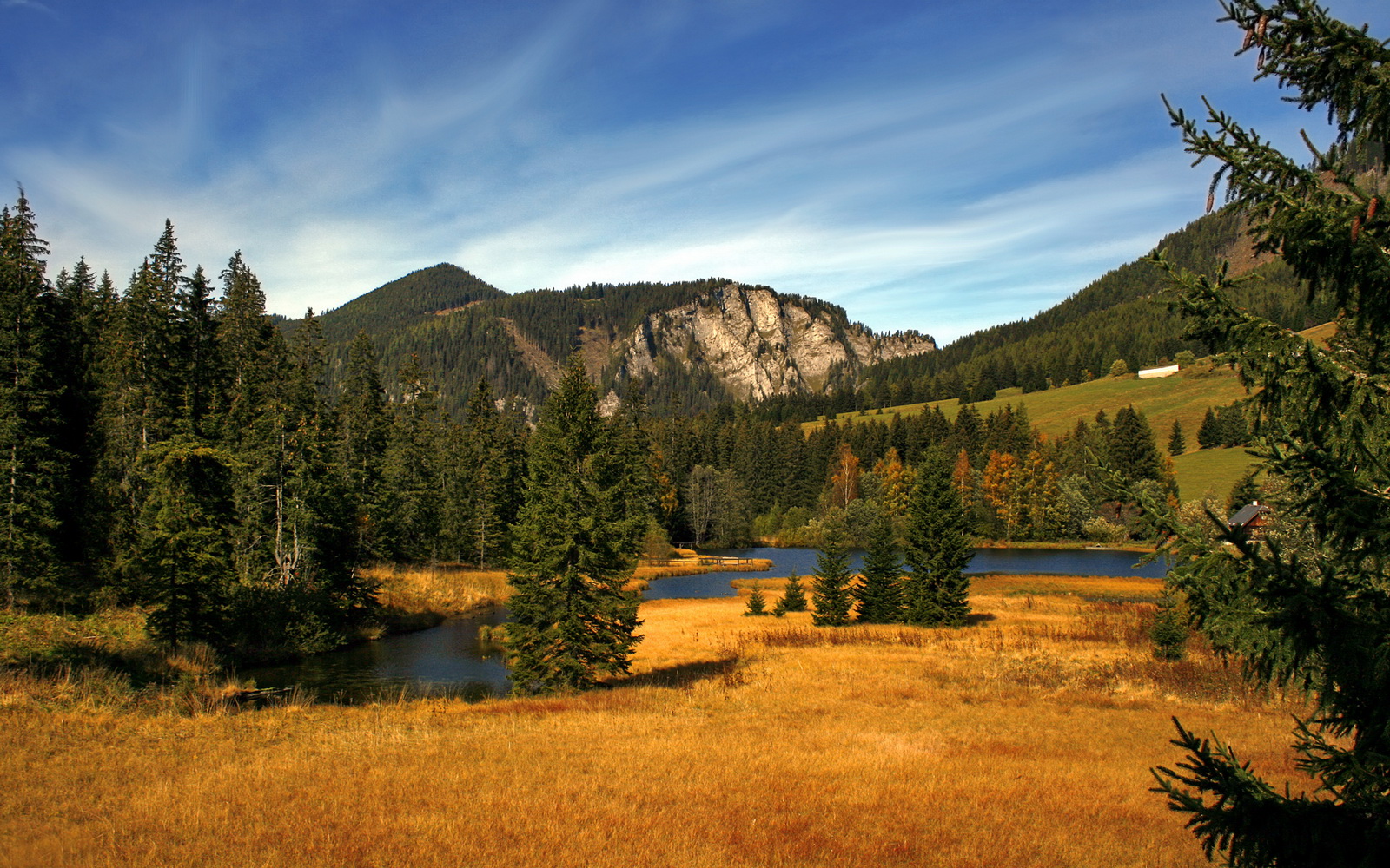 澳大利亚袋鼠队的转型与新战术，能否带来冠军？，在澳大利亚人眼里,袋鼠军团就是这样一支队伍