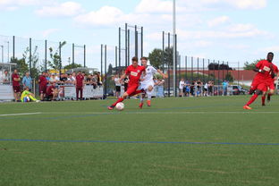 开云体育下载入口-特色足球运动场设计结合智慧城市理念，实现多功能利用，趣味足球场设计