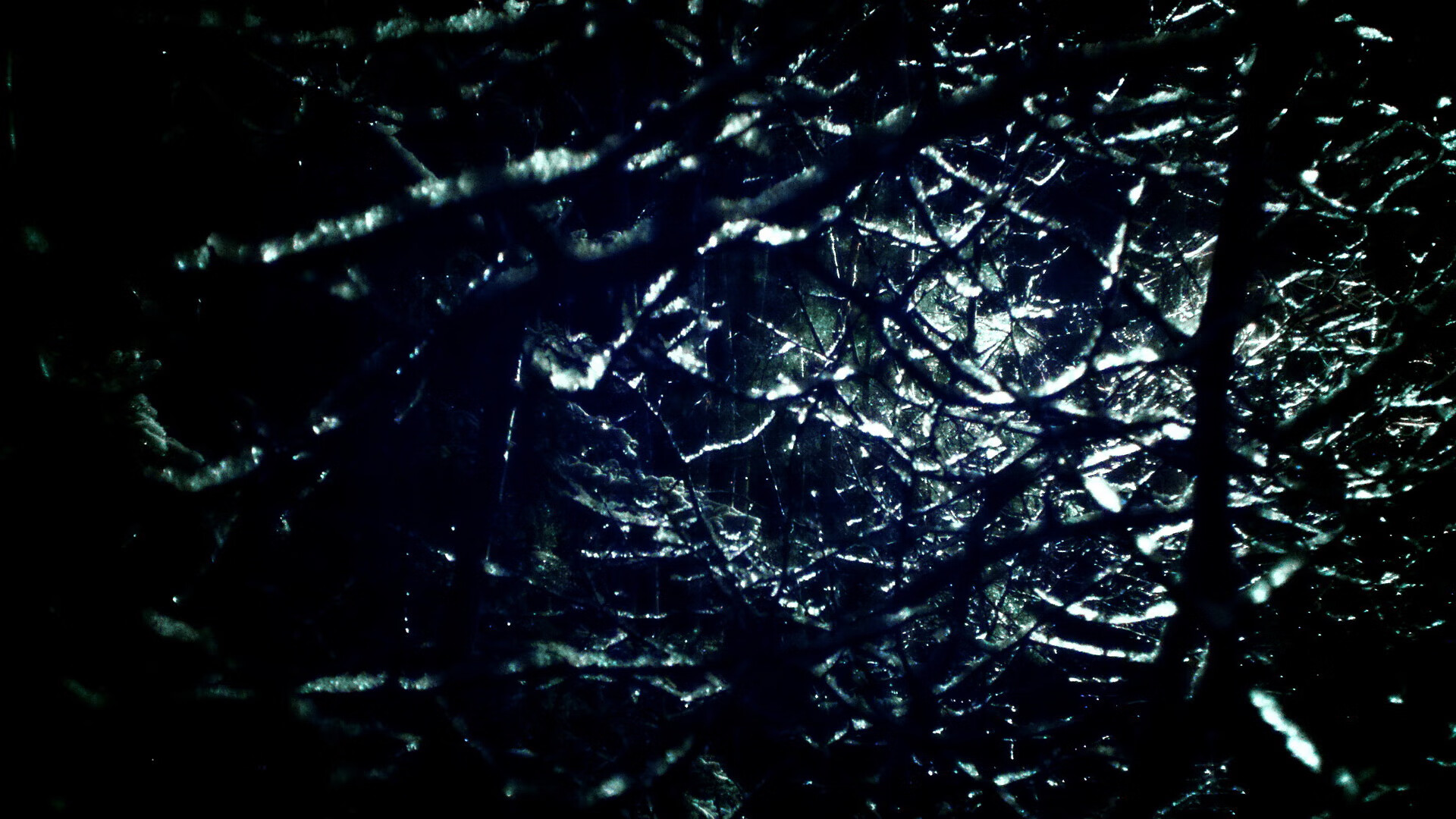 诺埃·庞蒂男子蝶泳赛场新星崛起