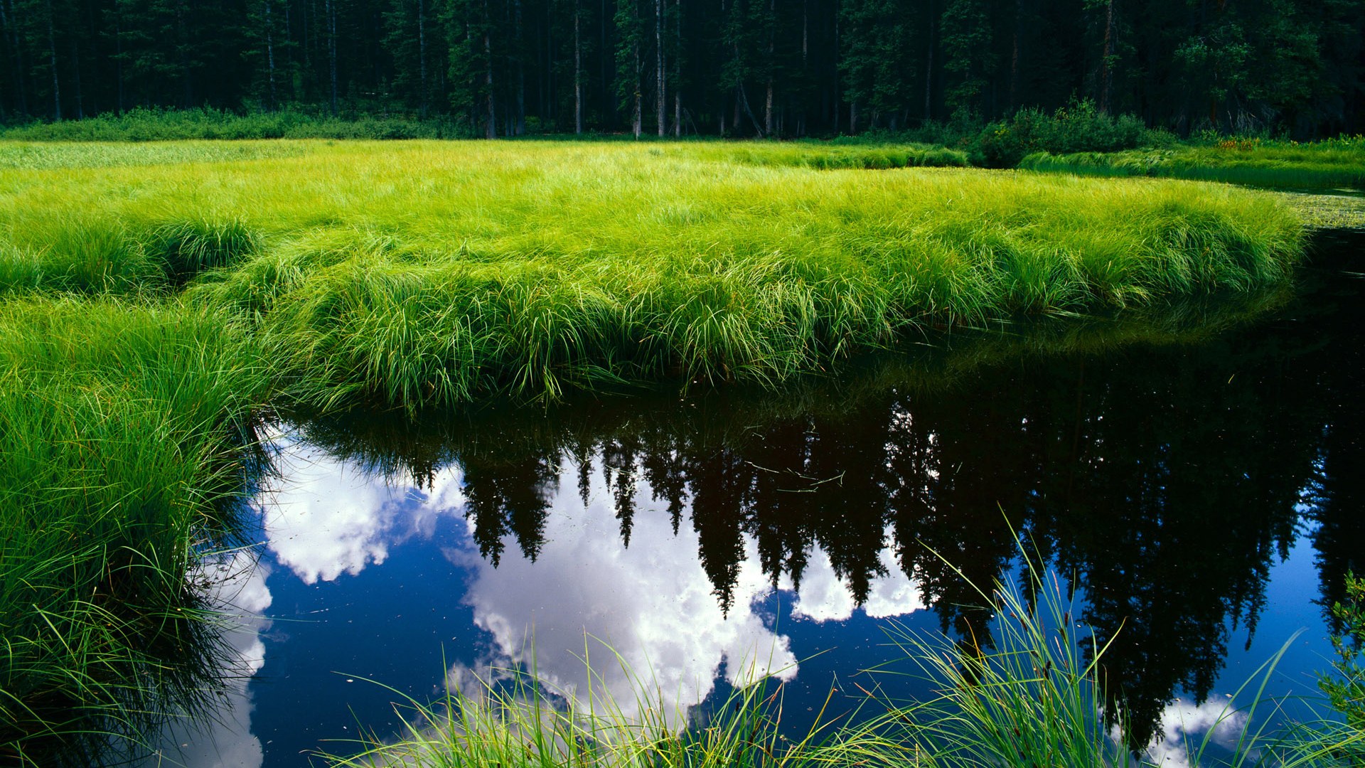 赛尔·阿尔斯塔：站在防线前沿，稳固南非队的世界地位，阿尔塞钦