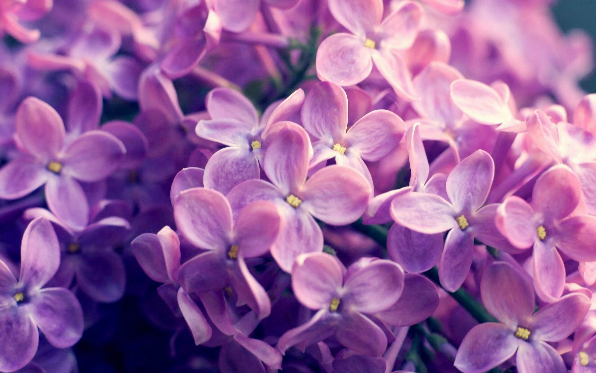 开云体育博彩-青年锦标赛促进人才流动，青年人才活动方案