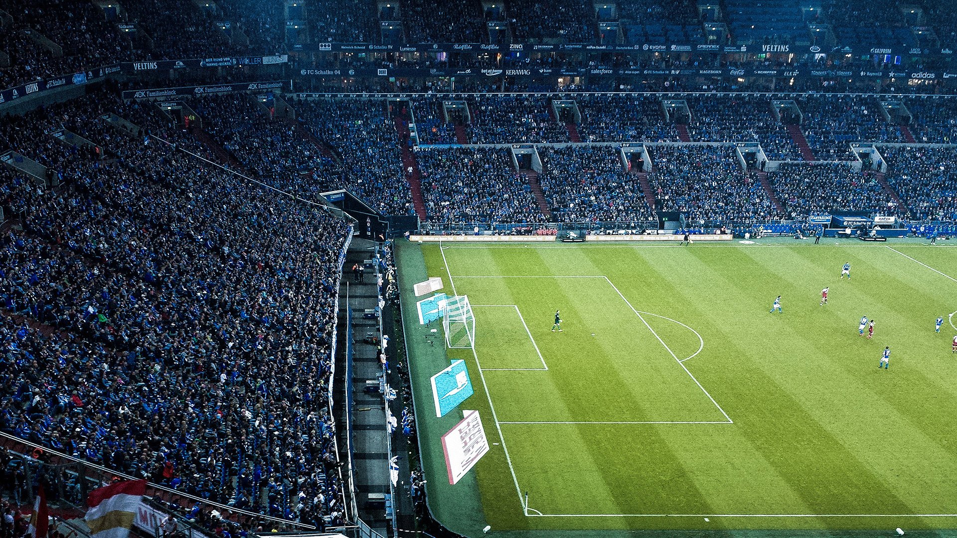 塞内加尔马术协会推出马匹健康管理系统，提升马匹福利。，马赛里尔